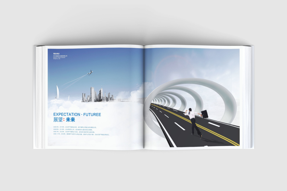 铁西区画册设计